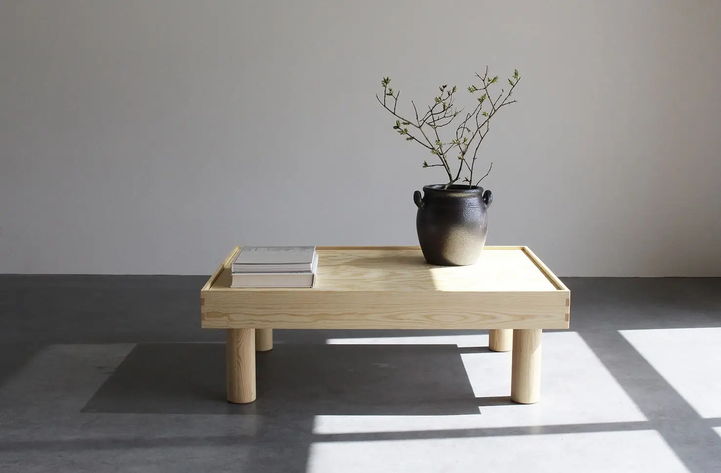 A minimalist wooden side table with a plant.