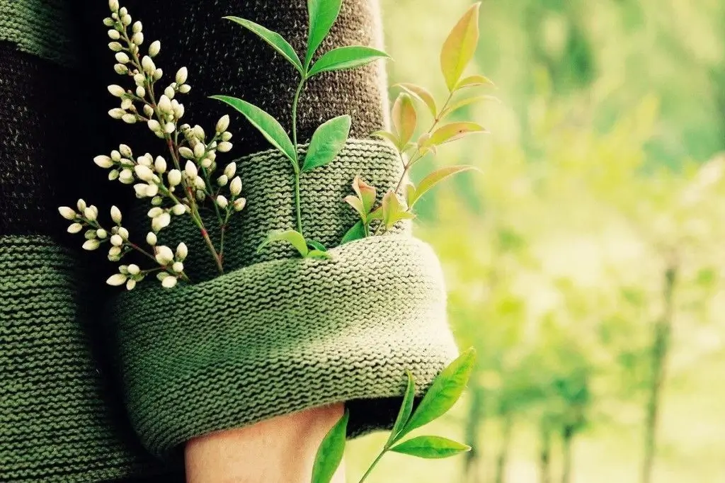 Green leaves symbolizing sustainability and nature.